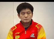 开云体育中国-波兰乒乓球队血洗日本乒乓球队，樊振东爆发神勇的简单介绍