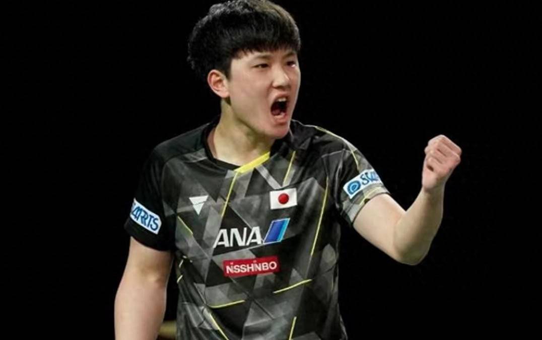 关于德国乒乓球队强势中国乒乓球队，张本智和高光表现的信息