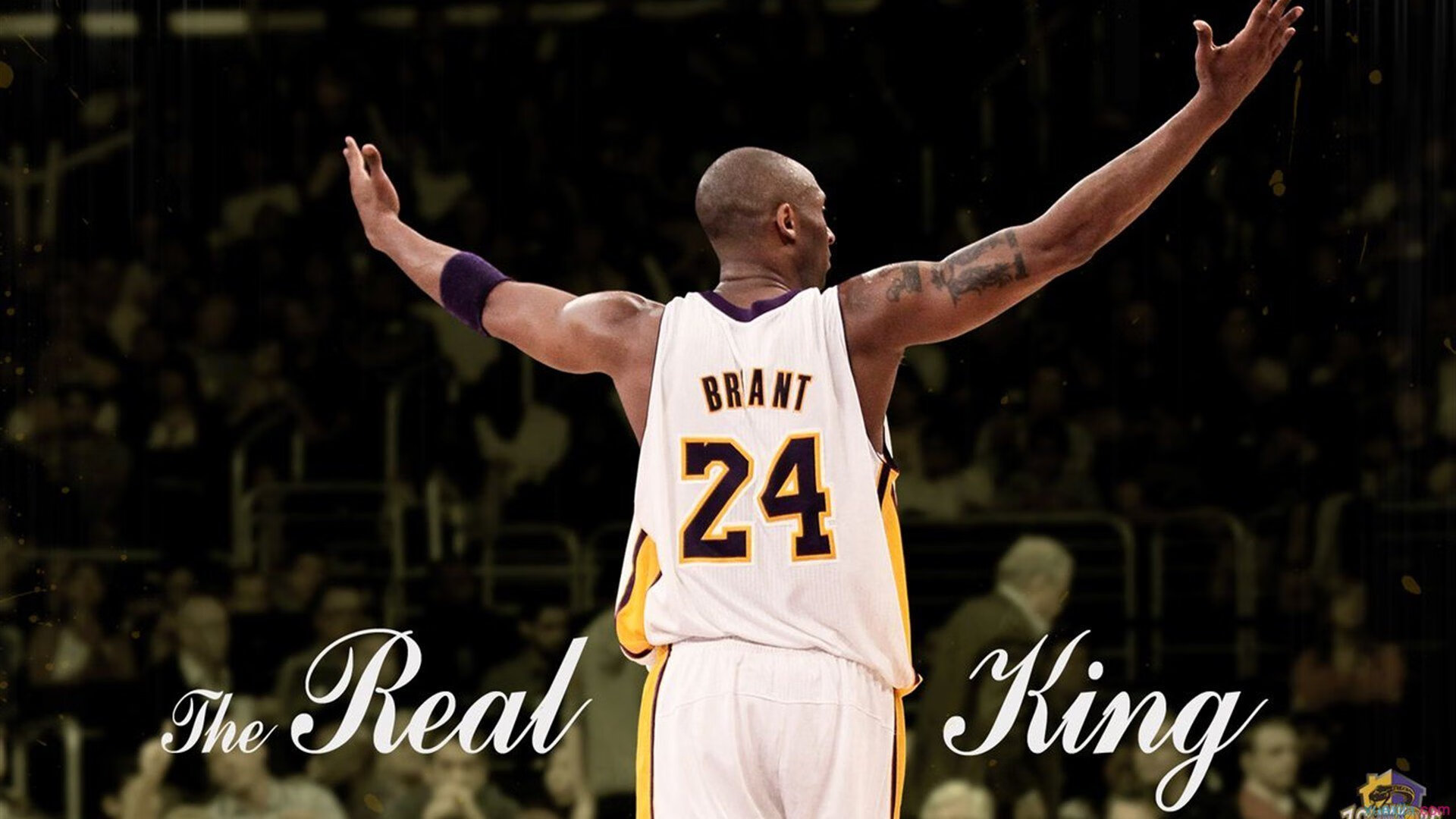 米切尔的唯一解法，当森林狼的利齿咬碎步行者的铁桶阵